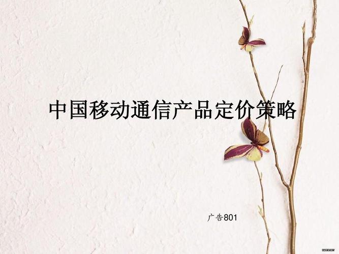 中国移动通信产品定价策略ppt